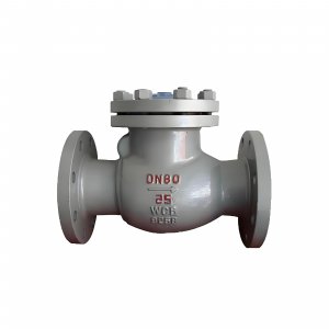 DN50 PN25 介質(zhì)：甲胺，溫度：80℃止回閥