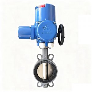 電動(dòng)襯膠碟閥D971J/S-10/16 DN50（腐蝕性介質(zhì)