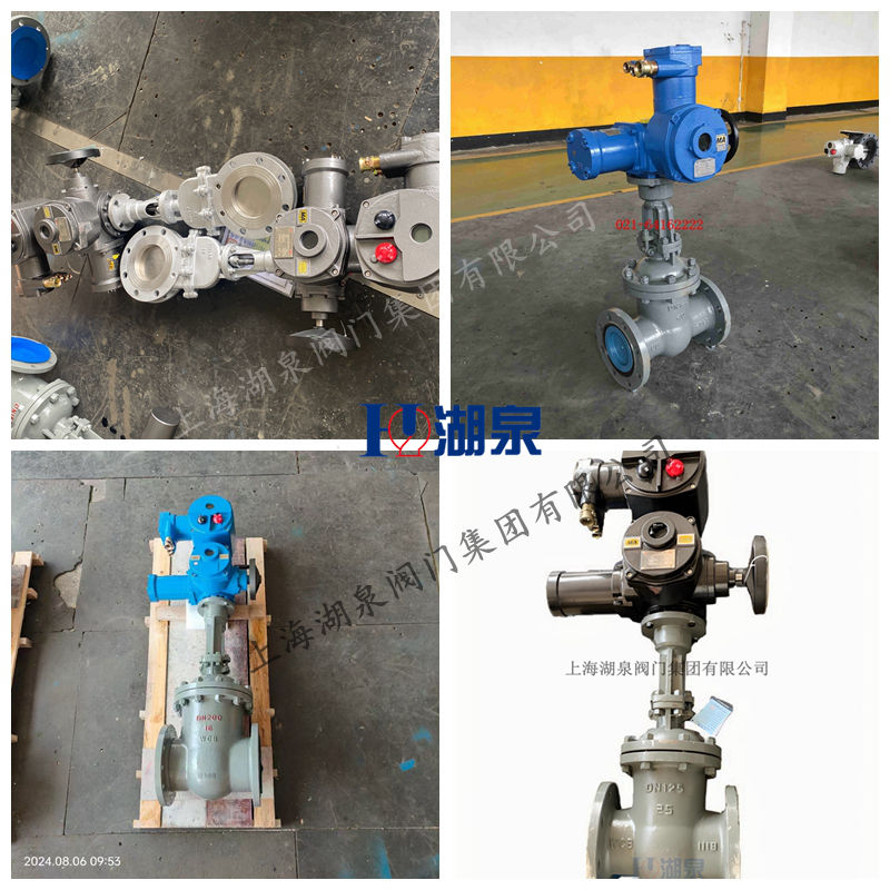 隔爆型閥門(mén)電動(dòng)裝置